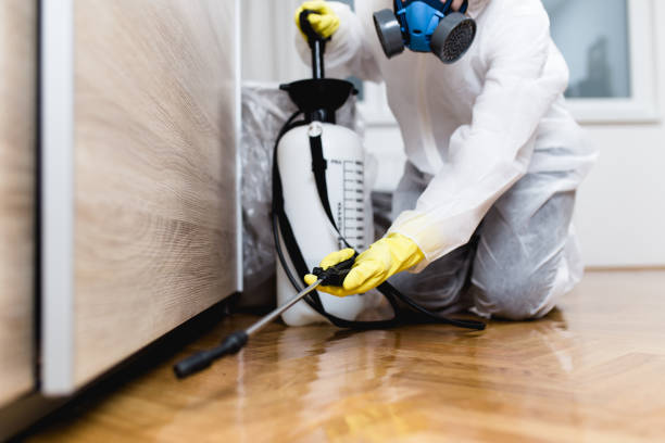 Best Residential Pest Control  in Amherst, WI