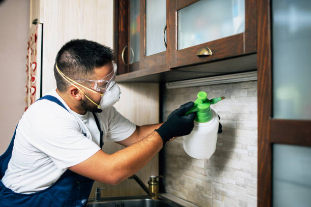 Best Affordable Exterminators  in Amherst, WI