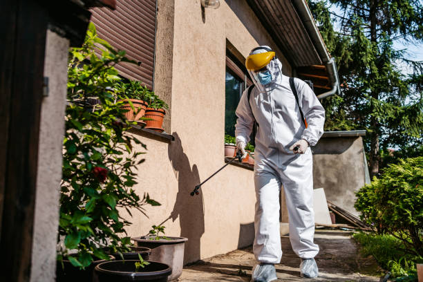 Best Pest Control Near Me  in Amherst, WI