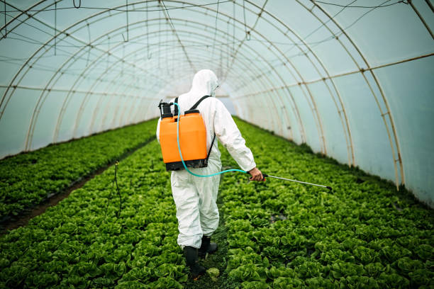 Best Pest Removal Services  in Amherst, WI
