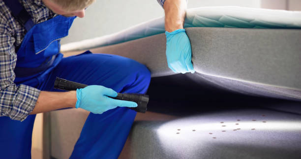 Best Local Pest Control Services  in Amherst, WI