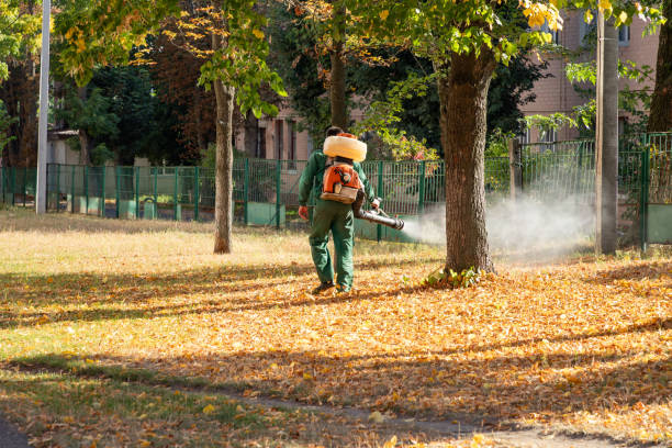 Best Affordable Pest Control Services  in Amherst, WI